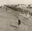 Image of soldiers marching in 1915 is retrieved from the National Army Museum - New Zealand