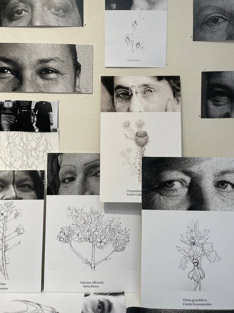 Paula Valero Comín, Manifestation végétale (Herbier Résistant Rosa Luxemburg), 2023. Courtesy of the artist.