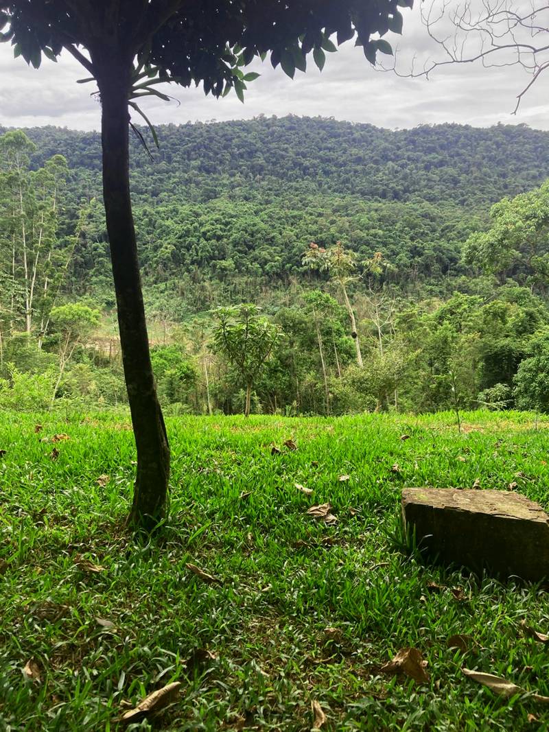 View from Insituto Zag