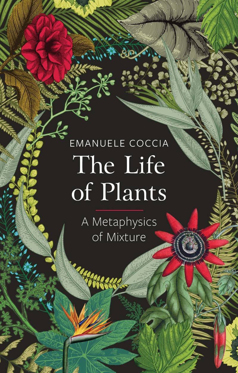 *The Life of Plants* book cover, Image courtesy of Polity Publishing.