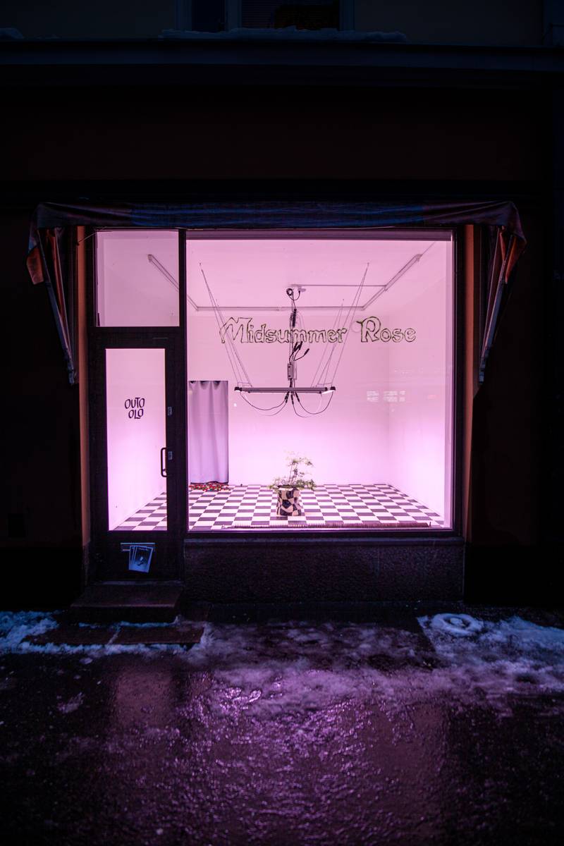 Street view of Outo Olo during Midsummer Rose exhibition, 2021. Image courtesy of Lukas Malte Hoffman and Susan Kooi.
