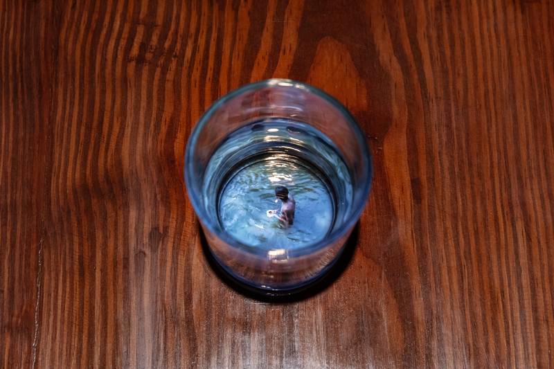 *The Politics of Skin and Movement*, at the Hayward Gallery, 2023