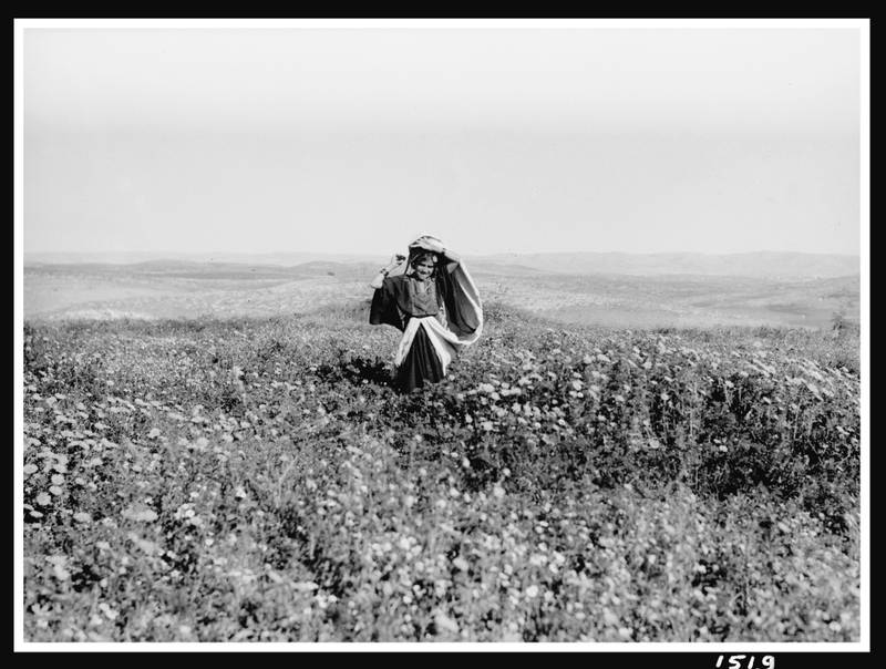 Field of wildflowers, Khalil Raad, 918–35, Courtesy of the Institute for Palestine Studies.