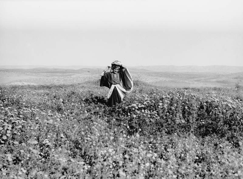 Field of wildflowers, Khalil Raad, 918–35, Courtesy of the Institute for Palestine Studies.