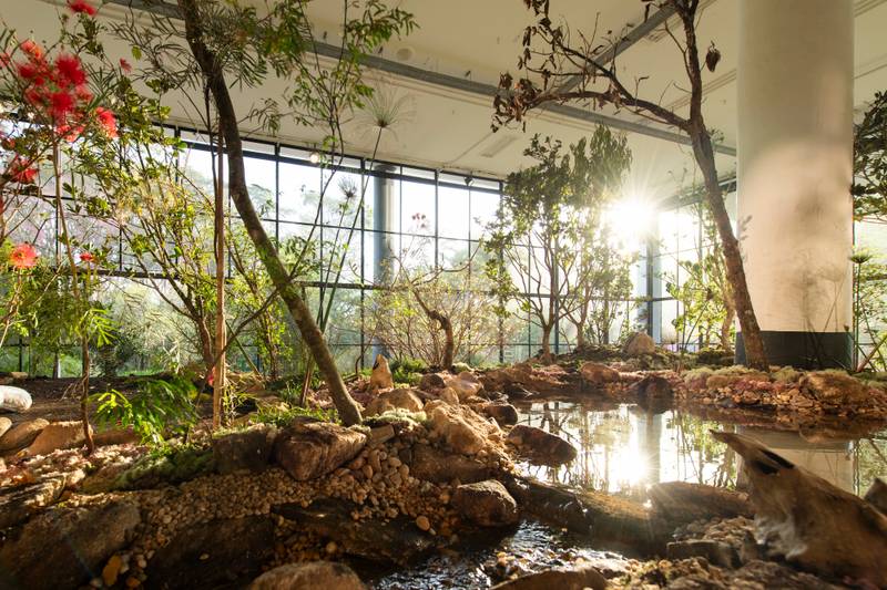 Installation view of Sun of Consciousness. God Blow Thru Me – Love Break Me, by Precious Okoyomon, during the 36th Bienal de São Paulo © Levi Fanan / Fundação Bienal de São Paulo
