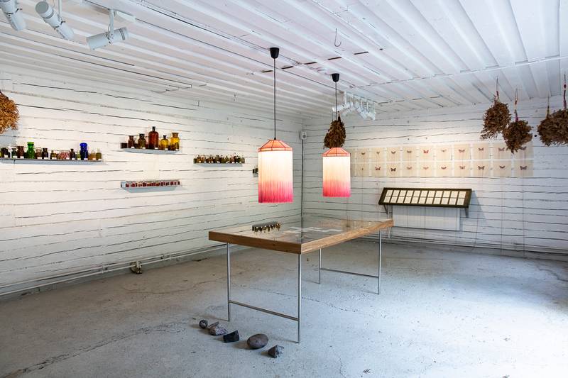 Helsinki Biennial 2023, *Materia Medica of Islands*, Lotta Petronella with Sami Tallberg and Lau Nau, Image courtesy of HAM, photo: Sonja Hyytiäinen