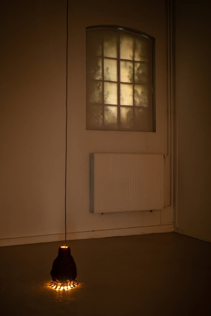 *The Shadow of Lustre*” at Rijksakademie Open Studios 2024 | Photo: Amol Patil