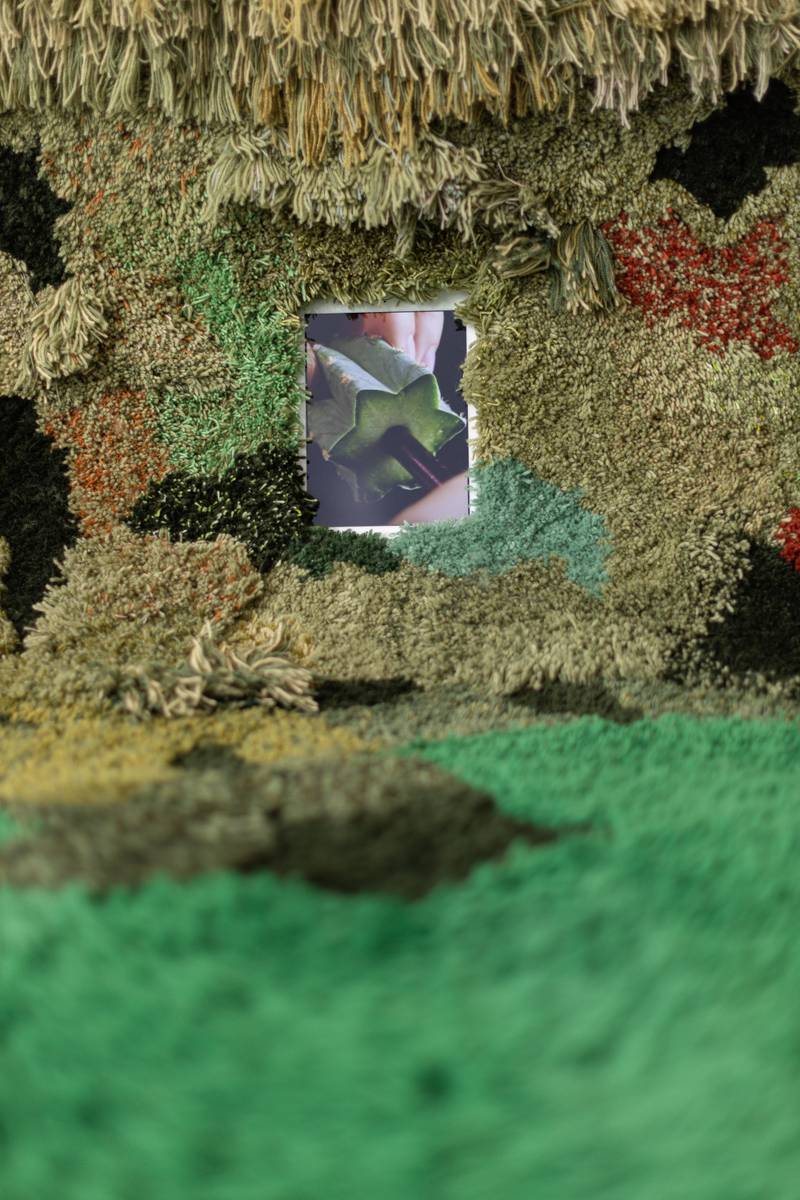 Ida Tomminen, Viheriö (detail), 2021, installation