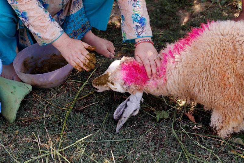 From the series *Weight of Snow on her Chest* by Zainab, 2020-ongoing  | Courtesy of the artist