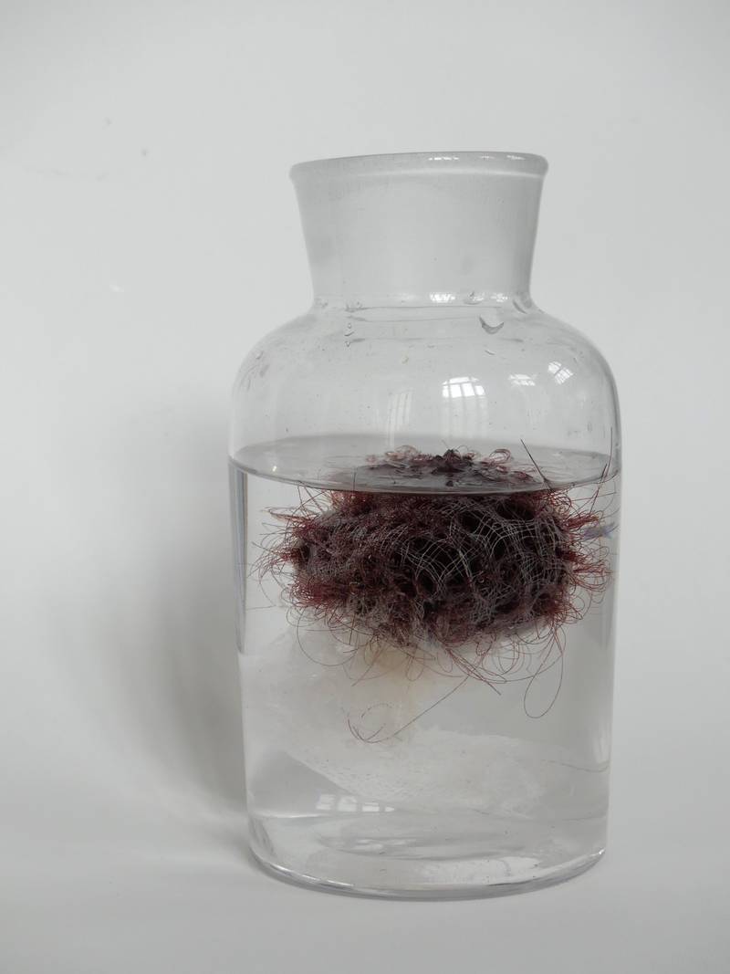 Zsófia Demeter, *Mingg, 2024*, photo and copyright: courtesy of the artist