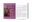 NO NIIN Volume 1: Imagined Collectivities