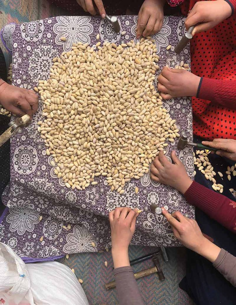 Voice of the Women Agency: Women’s Labour during the Pandemic, 2020\. Courtesy Damla Deniz Cengiz and *Kitchen Workshop*, Gaziantep. Photo: Damla Deniz Cengiz